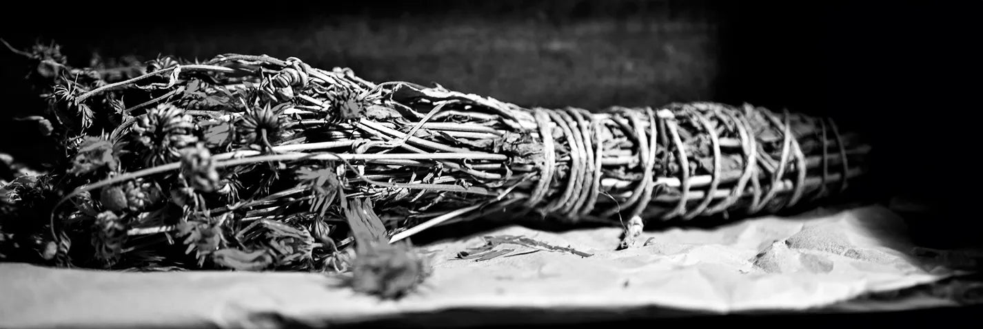 High contrast black and white image of bundled calendula on a table.