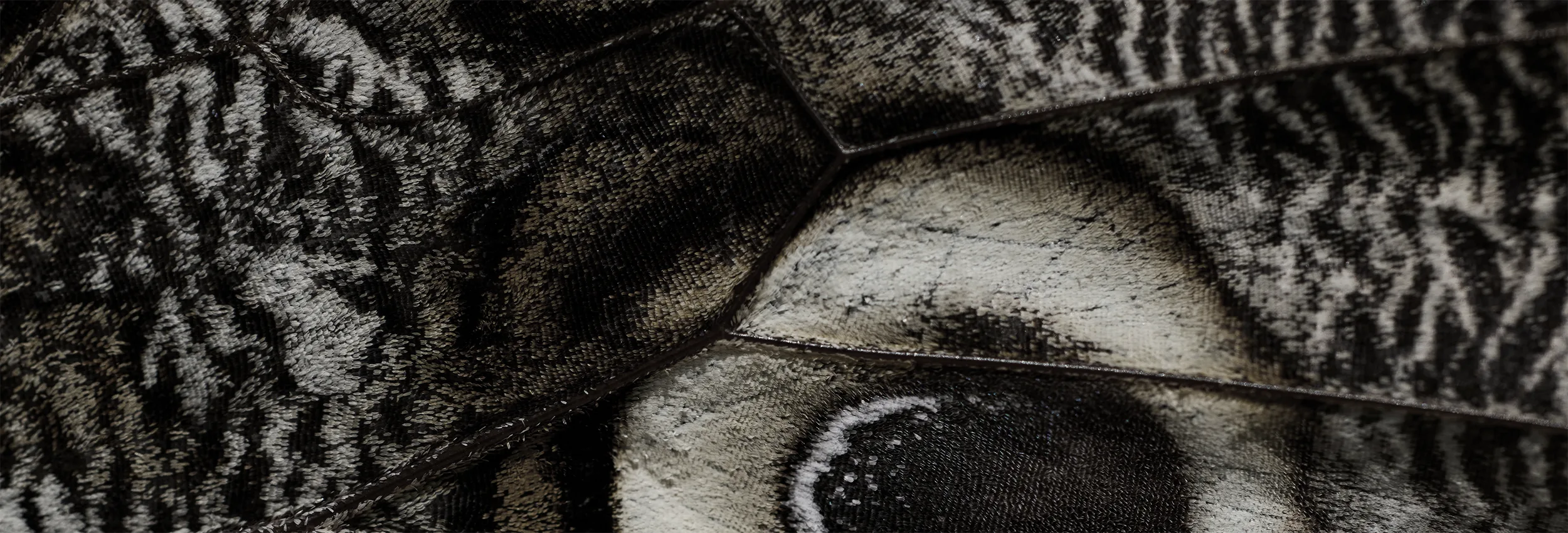 Macro close-up of a moth's wing detail featuring black, gray, and off-white tones with the signature eye design.