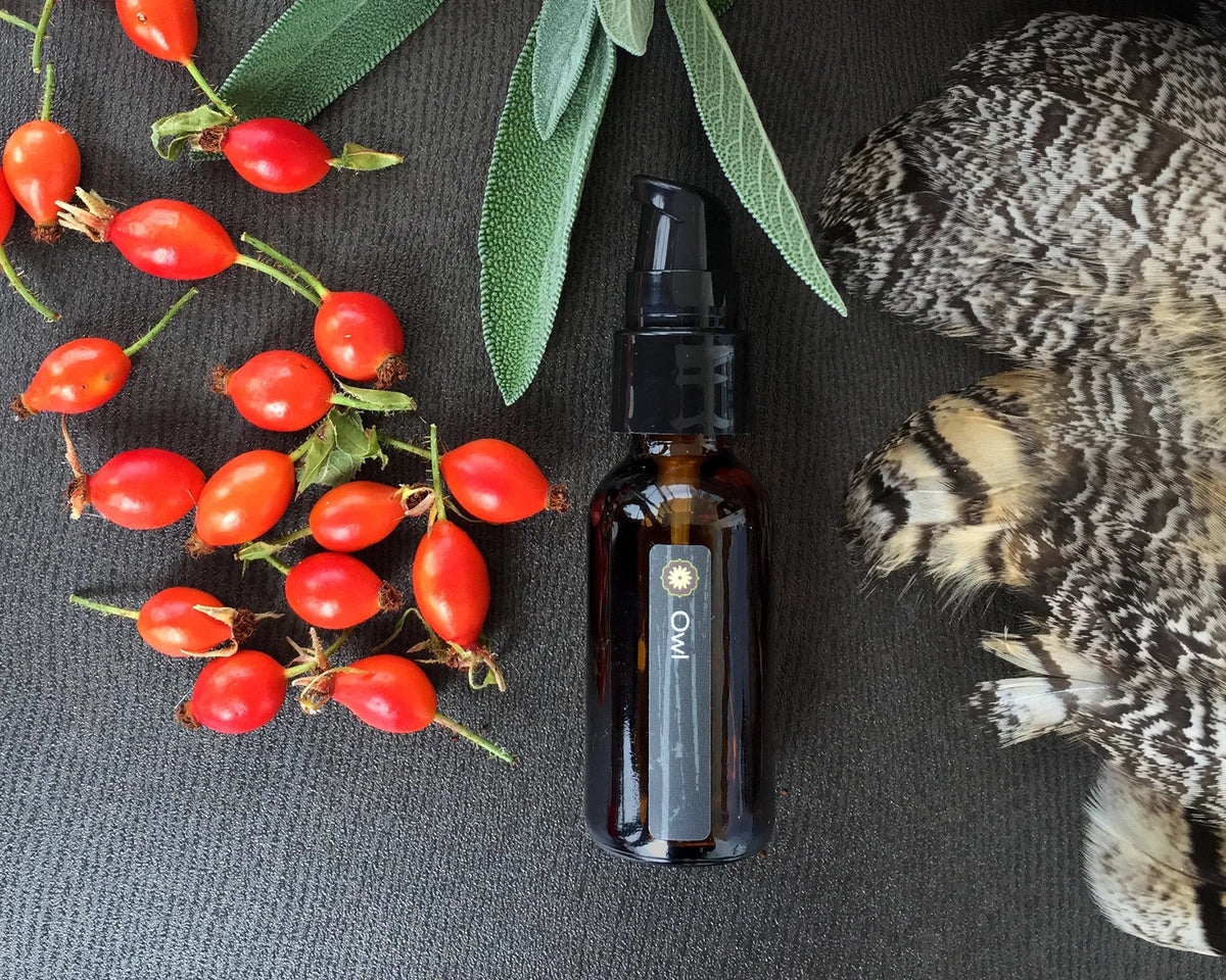 Amber glass bottle of BodyMantra Owl Power Animal oil surrounded by rose hips, fresh sage and owl feathers on charcoal gray background