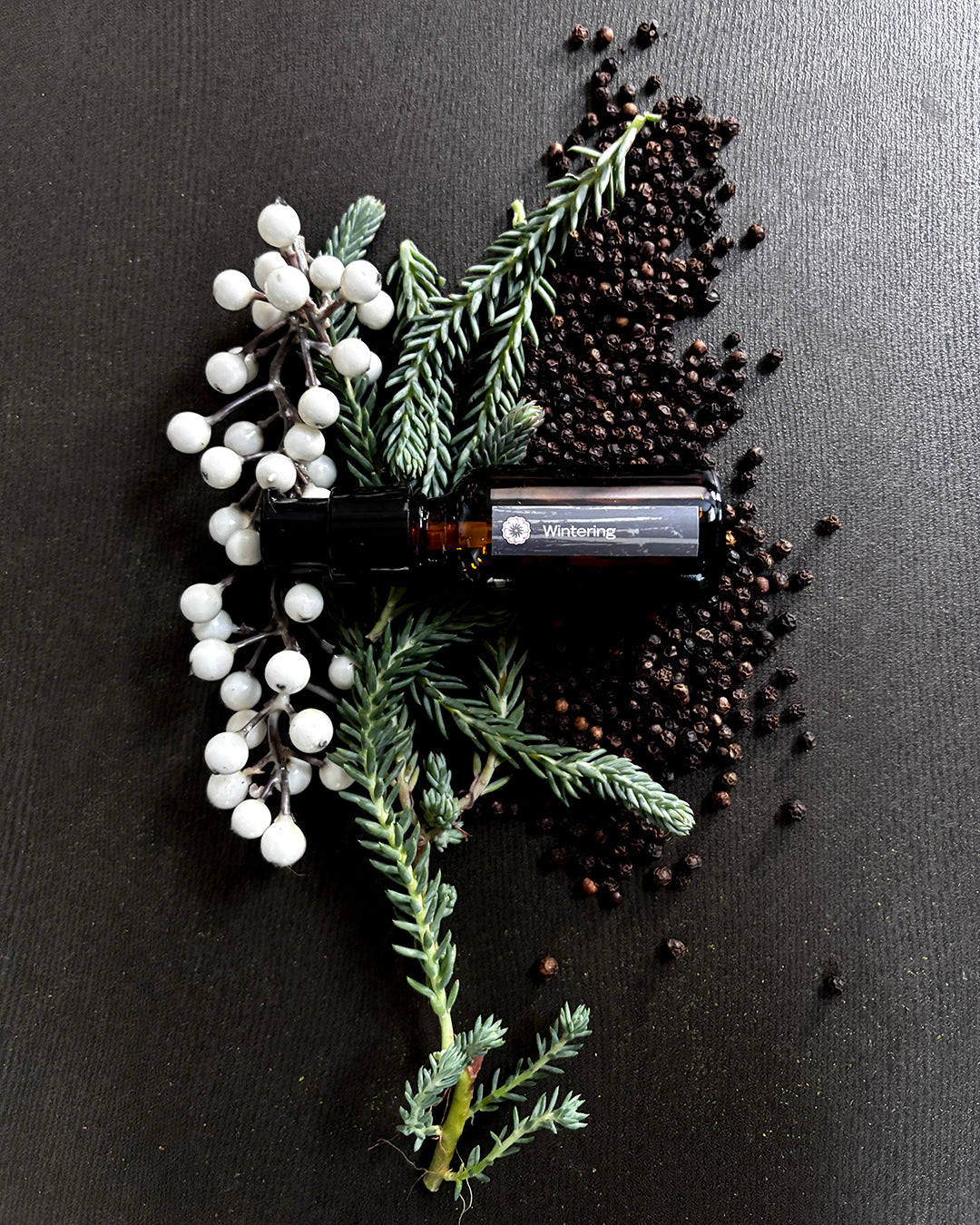 An amber glass bottle of BodyMantra Wintering oil with a minimalist label surrounded by white winter berries, fresh spruce, and black peppercorns on a dark gray stone surface.