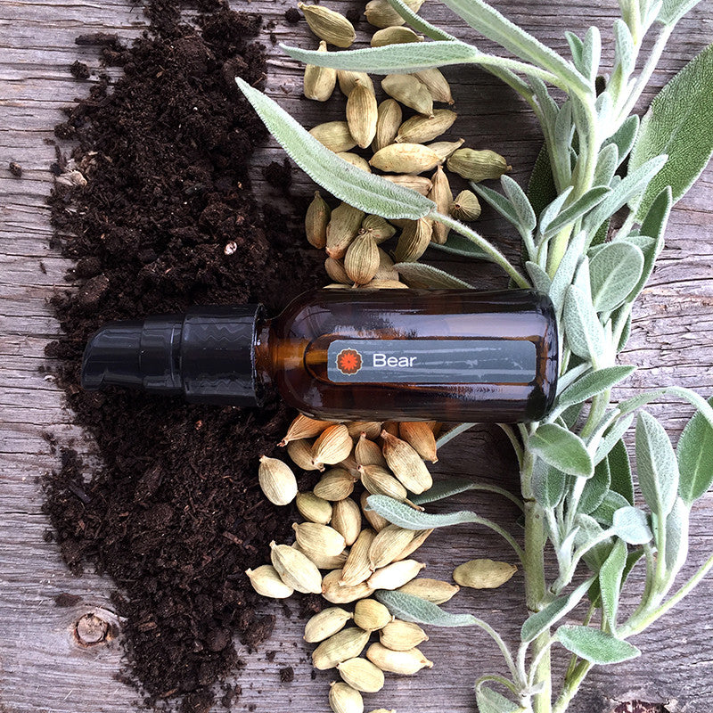 An amber glass bottle of Bear Power Animal oil by BodyMantra resting on weathered wood, surrounded by dark earth, cardamom pods, and fresh sage leaves.